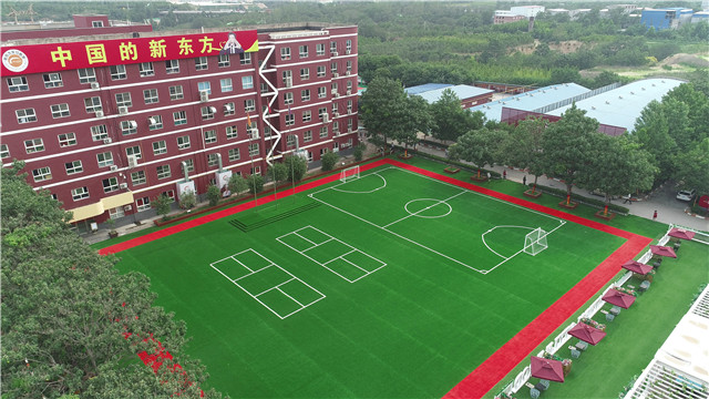 郑州新东方校园5.jpg