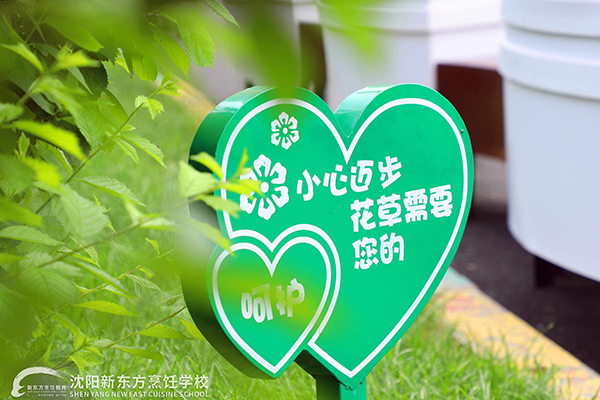 校园四季 | 凝盼春归近，聚回新东方