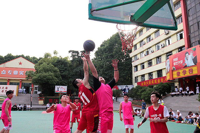 你只要心无旁骛学技成长，一切有我们为你保驾护航！