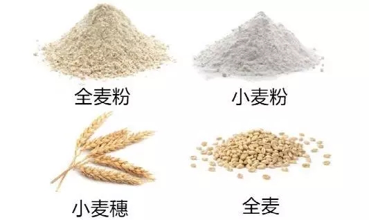 你吃的真是全麦面包吗？其实99%都是假的，因为如果是真的……